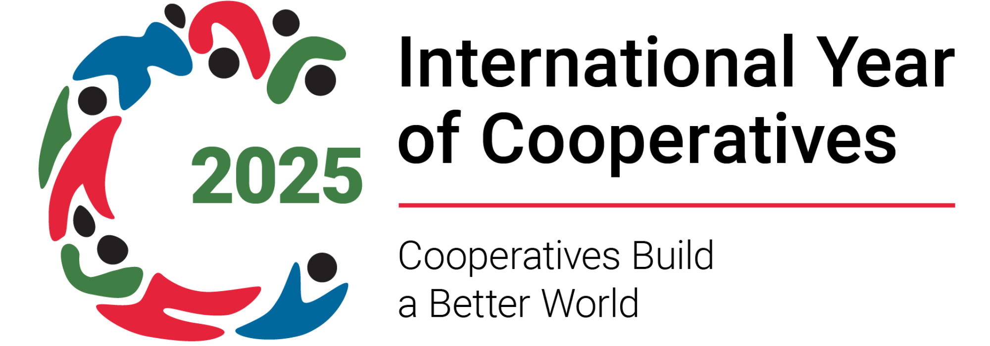 IYC_2025_logo_Horizontal_E-w-tagline